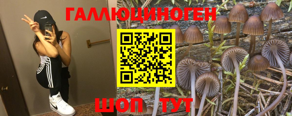 Галлюциногенные грибы мухоморы Каспийск