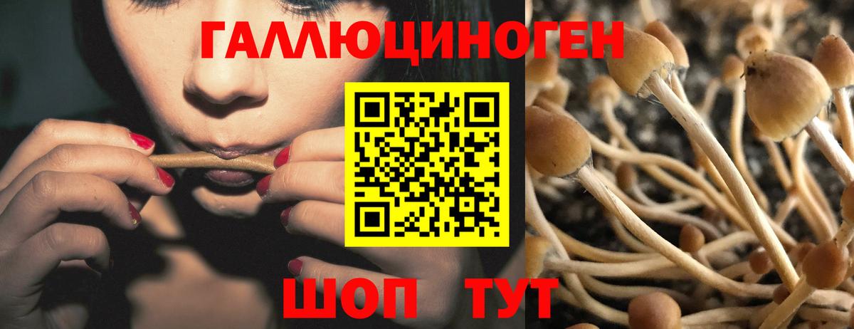 Псилоцибиновые грибы GOLDEN TEACHER  Вход с VPN  Каспийск 